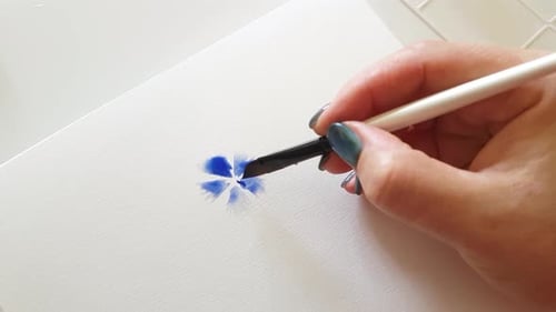 Painting flower with watercolors close up
