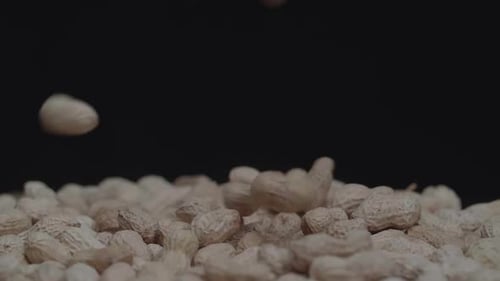 Fresh Peanuts in Shells Falling on Pile