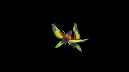 Vibrant Flying Parrots Alpha Channel Animation