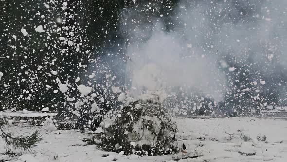 Snowman Explodes in Forest During Winter, Nature Stock Footage ft ...