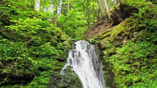 Mountain River Waterfall Flowing Between Rocky Shores in Carpathians Mountains Ukraine