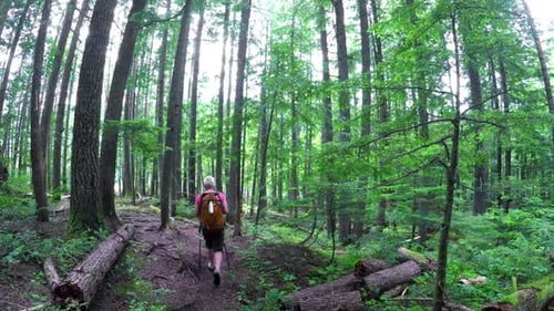 Mature woman walking through the forest 4k