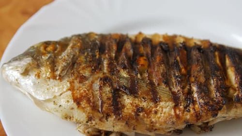 Close-Up of Grilled Fish on White Plate