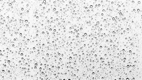 Rain Droplets Flowing Down a Window