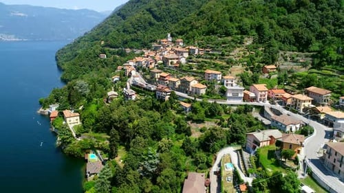 Beautiful town surrounded with lush green trees 4k