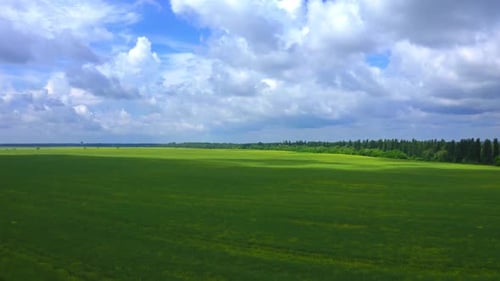 Flying Over The Field