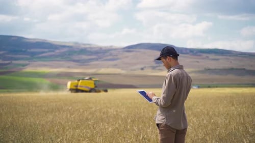 Farmer with Tablet in Wheat Field