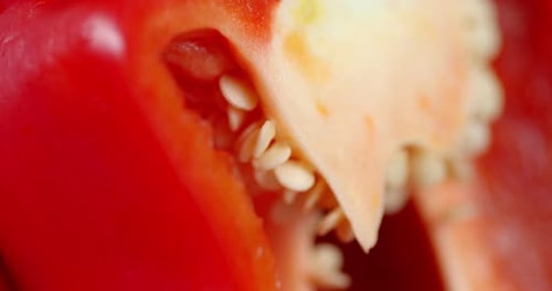 Vibrant Red Bell Pepper Macro Zoom