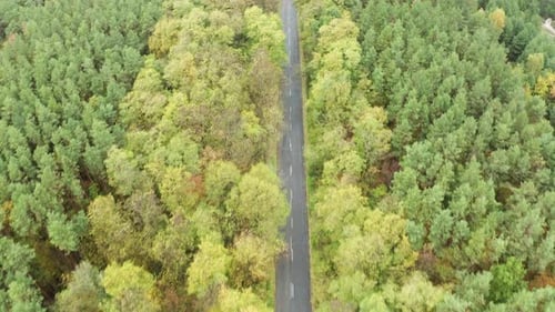 Vue aérienne de la route dans la forêt d'automne.