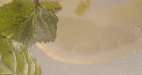 Lemon and Mint Floating Refreshingly in Carbonated Water