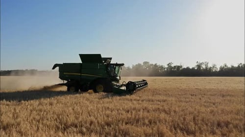 Combine Harvesting Wheat Top View of a Wheatfield