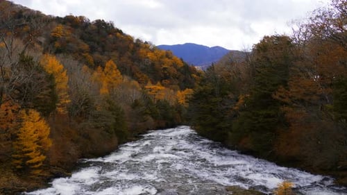 Stream In Autumn Forest