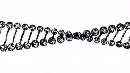 Zusammenfassung Dunkle DNA Doppelhelix Tiefenschärfe-Rotation