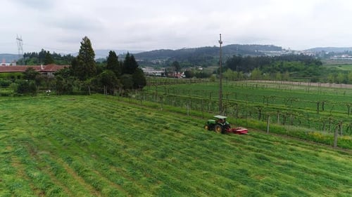 Tractor Mowing Green Grass in Rural Farm Field