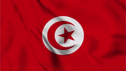 Realistic Waving Flag of Tunisia Loop