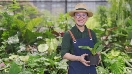 4K Portrait of Asian man plant shop owner holding and caring potted plants in greenhouse garden.