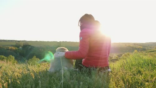 Woman Pets Dog in Grassy Field on Sunny Day
