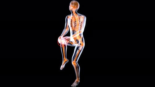 3D Human Figure Showing Knee Pain Animation