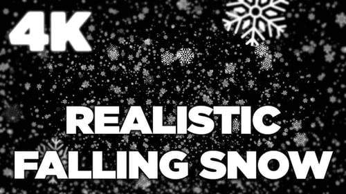 Gentle Falling Snowflakes Overlay Animation