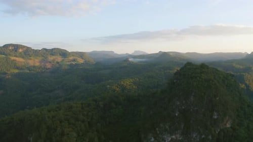 Luftaufnahme von oben auf Waldbäume und grüne Berghügel. Naturlandschaftshintergrund, Thailand.