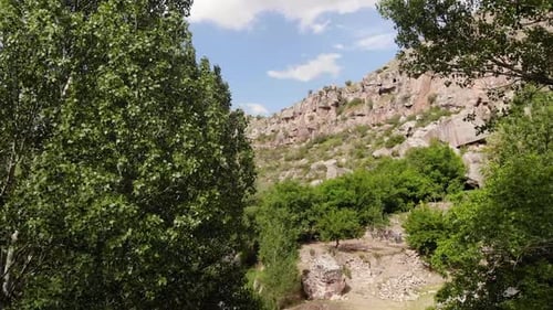 Bosque y monturas