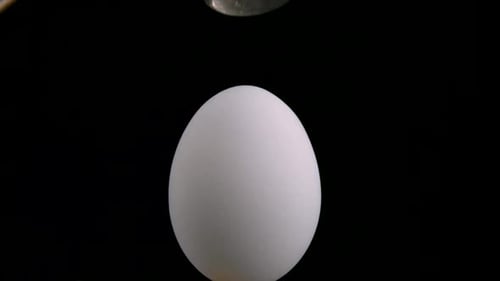 Egg Being Smashed Open by Hammer in Slow Motion
