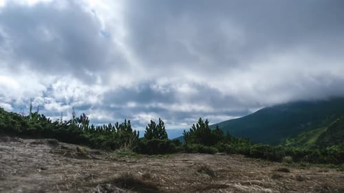 Timelapse of Moving Low Clouds in the Carpathian Mountains. Cumulus Dramatic Sky