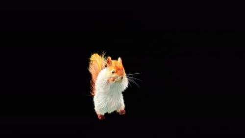 Stylized Glowing Squirrel Running and Jumping Animation