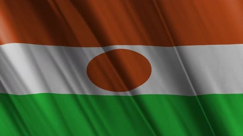 Niger Flag Waving Seamless Loop Animation