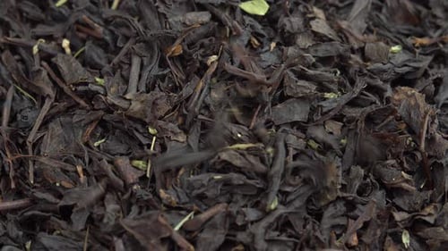 Spoon Picks Up Dried Black Tea Leaves Leafy Black Tea on a Plate