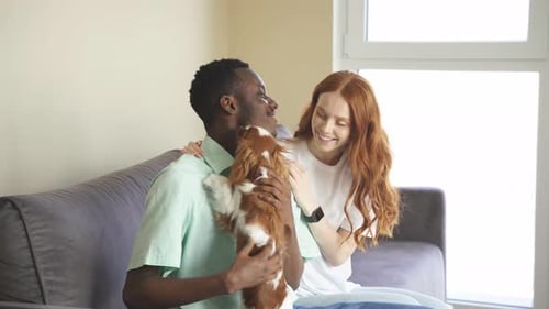 Happy Couple Cuddling Dog on Sofa at Home
