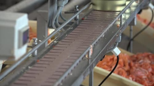 Food Processing Plant Featuring Salmon Canning Line