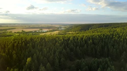 Country Forest Hill And Lake
