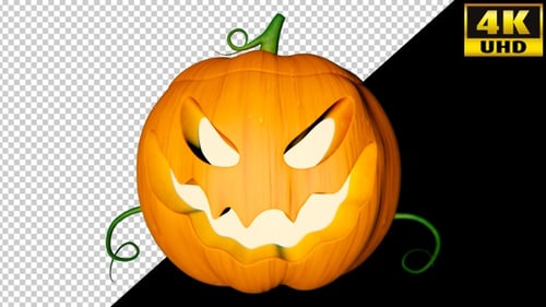 Pacote de loops de vídeo Helloween Pumpkin 002