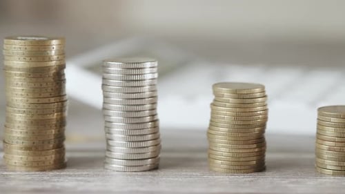 A Woman is Calculating Her Expenses for a Month