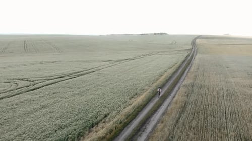Cyclist Rides Along Rural Dirt Road