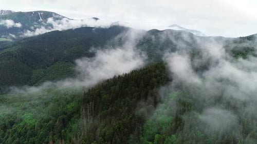 Flying Through the Clouds Above Mountain Tops. High Peaks with Forest, Wonderful Natural Landscape