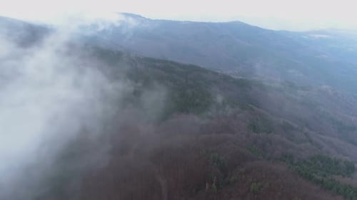 Hills With Trees In Gray Fog, Clouds Of Mist Above Forest