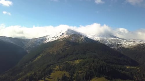 Aerial view of majestic mountains covered with green spruce forest and high snowy peaks