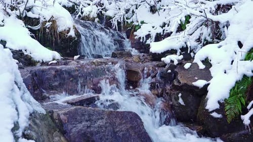 Small Stream Among Wet Stones and White Snow in the Picturesque Carpathian Mountains in Ukraine