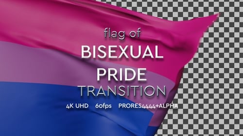 Realistic Bisexual Pride Flag Waving Animation