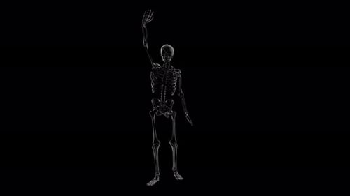 Skeleton Hand Raising