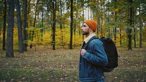 Junger Mann mit Touristenrucksack Alleine durch den Herbstwald, wilde Natur, genießt Wandern