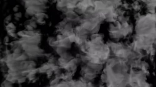 Fluid Smoke Reveal Transition for Logos and Text