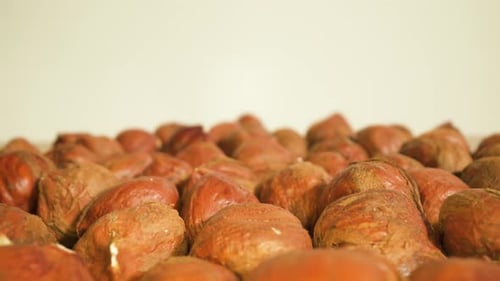 Pile of Delicious Hazelnuts Panning Shot Close Up