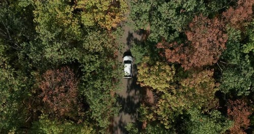 Aerial Top Down View of White Car Driving on Country Road in Forest in At.