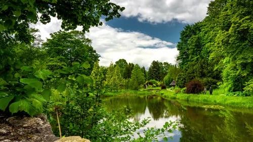Calm lake in green city park.