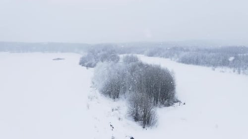 Starker Schneefall und Wind im Wald im Winter