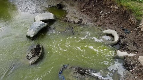 Tire is dump at sanitary river