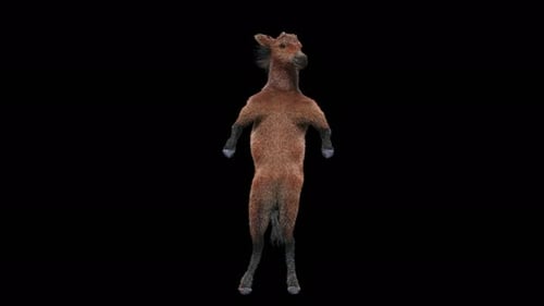 Funny 3D Animated Horse Dancing